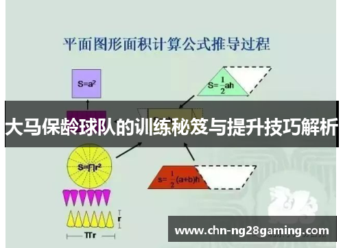 大马保龄球队的训练秘笈与提升技巧解析