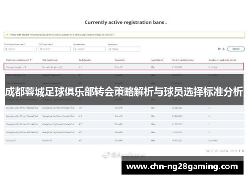 成都蓉城足球俱乐部转会策略解析与球员选择标准分析