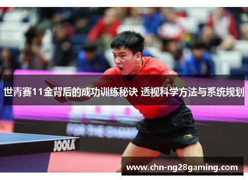 世青赛11金背后的成功训练秘诀 透视科学方法与系统规划