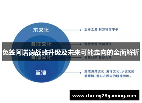 免签阿诺德战略升级及未来可能走向的全面解析