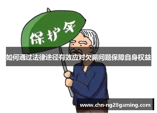 如何通过法律途径有效应对欠薪问题保障自身权益