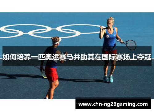 如何培养一匹奥运赛马并助其在国际赛场上夺冠
