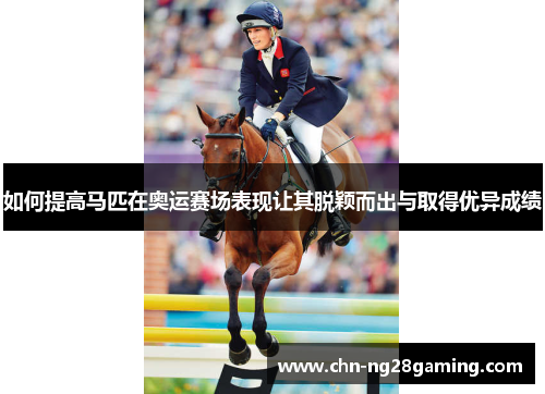 如何提高马匹在奥运赛场表现让其脱颖而出与取得优异成绩
