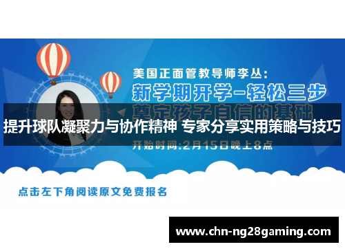 提升球队凝聚力与协作精神 专家分享实用策略与技巧