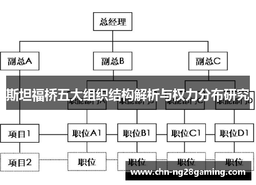 斯坦福桥五大组织结构解析与权力分布研究