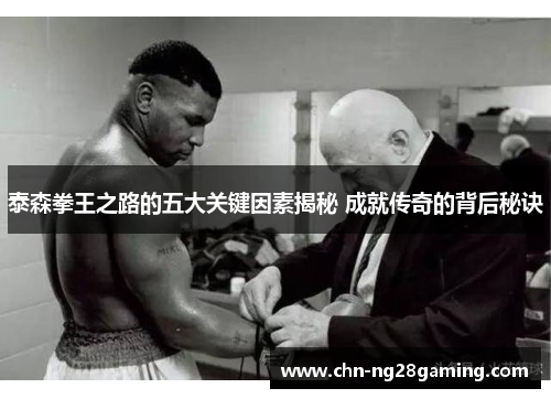 泰森拳王之路的五大关键因素揭秘 成就传奇的背后秘诀