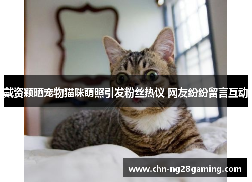 戴资颖晒宠物猫咪萌照引发粉丝热议 网友纷纷留言互动 戴资颖晒宠物猫咪萌照引发粉丝热议 网友纷纷留言互动