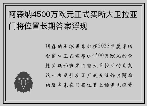 阿森纳4500万欧元正式买断大卫拉亚门将位置长期答案浮现