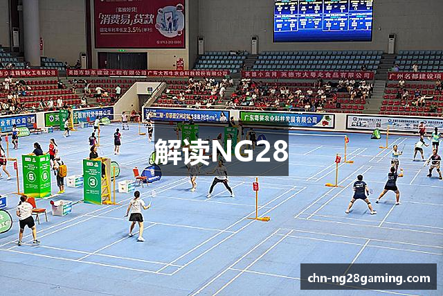 解读NG28